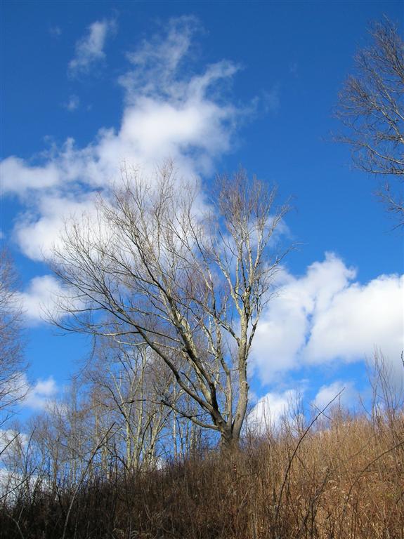 Ridgeline Clouds