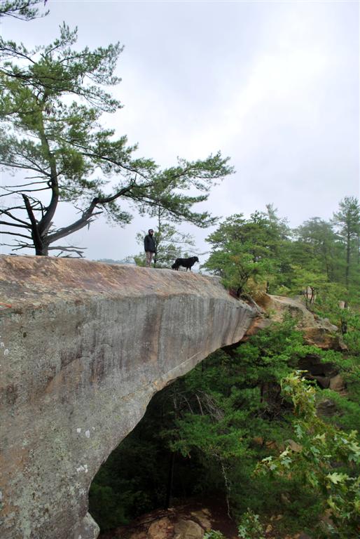 Walking Sky Bridge