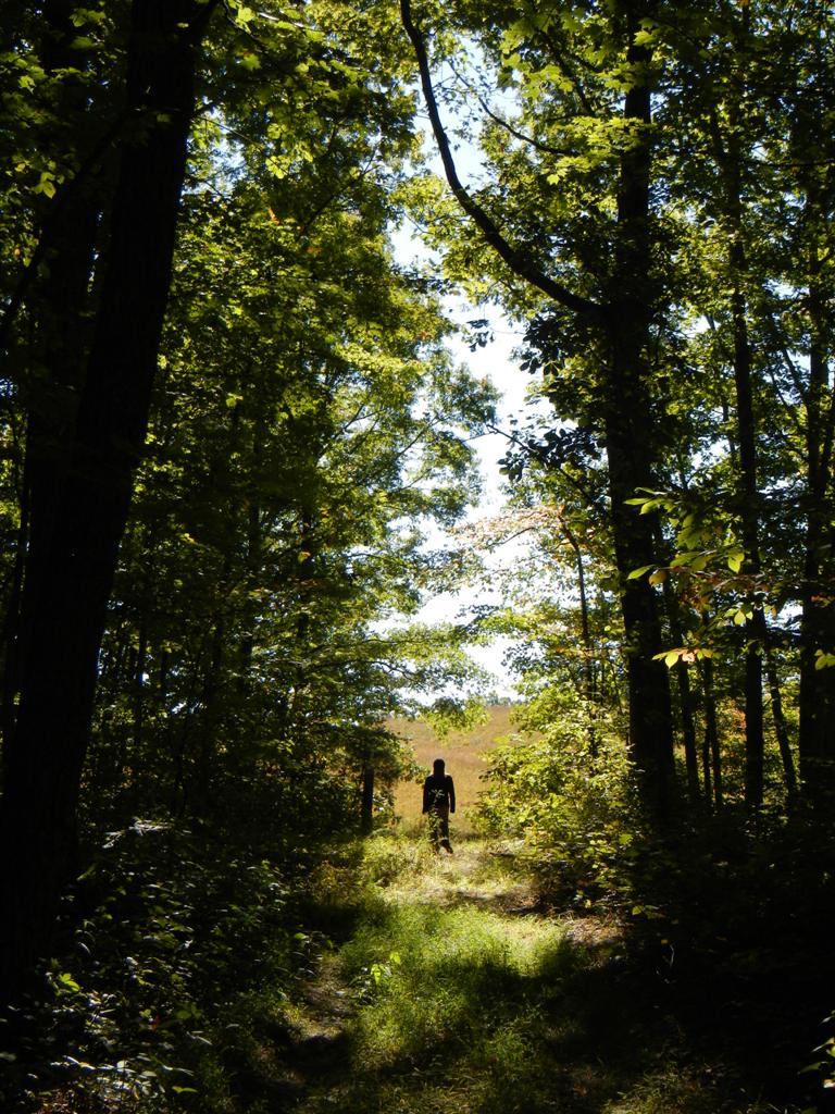Into the Light