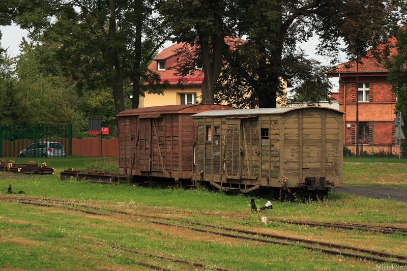 elk48.JPG
