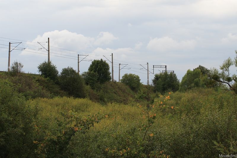 korsze10.JPG