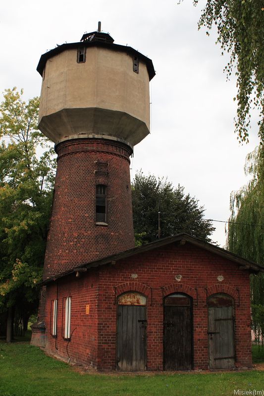 korsze19.JPG