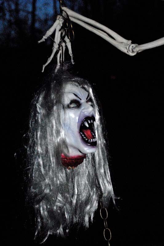 Pic403.jpg