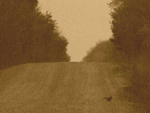Pic176.jpg