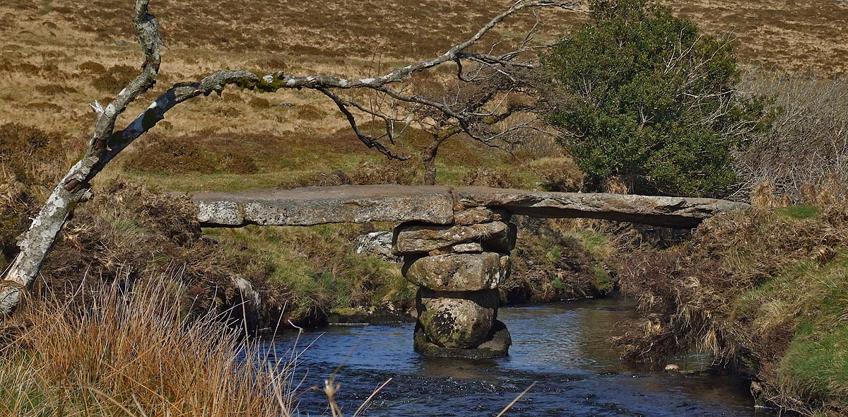 Teign-e-ver Clapper Bridge 