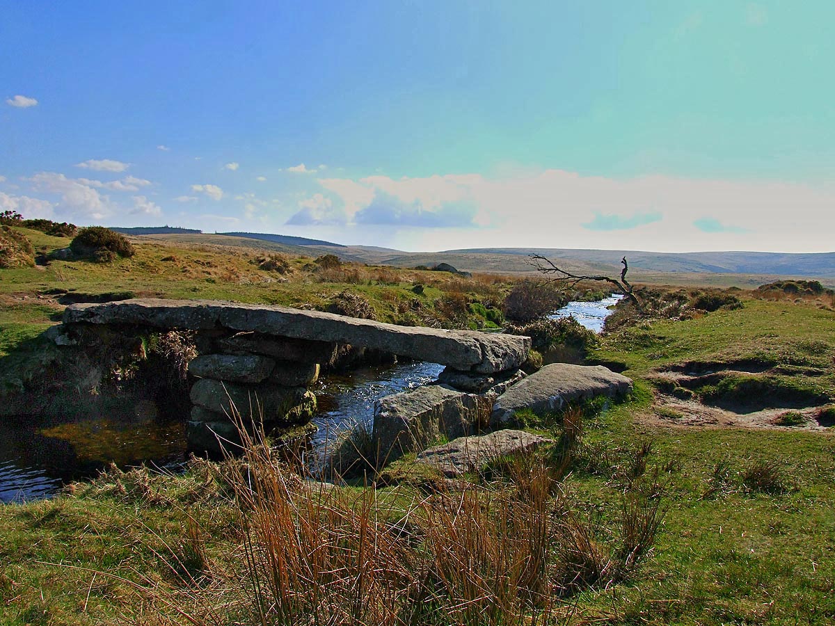 DSCF3273X3a.jpg