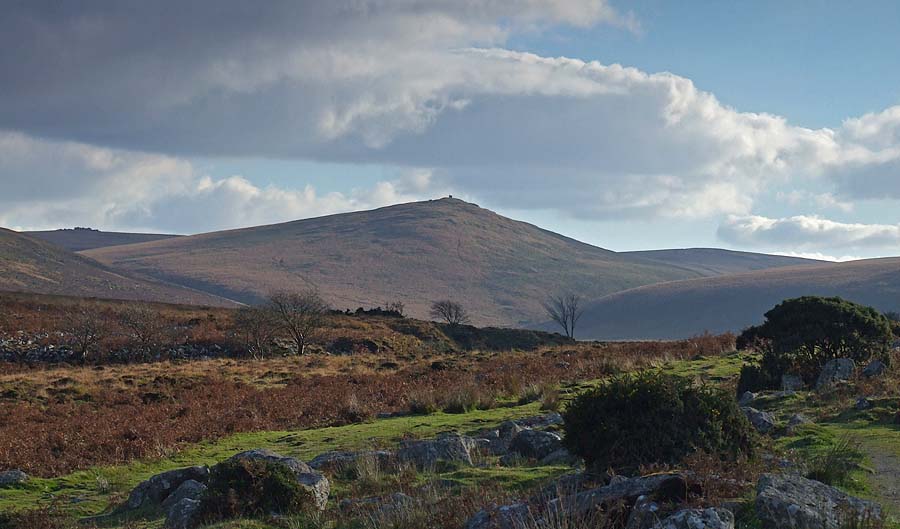 Belstone Taw Marsh - towards Steeperton Tor