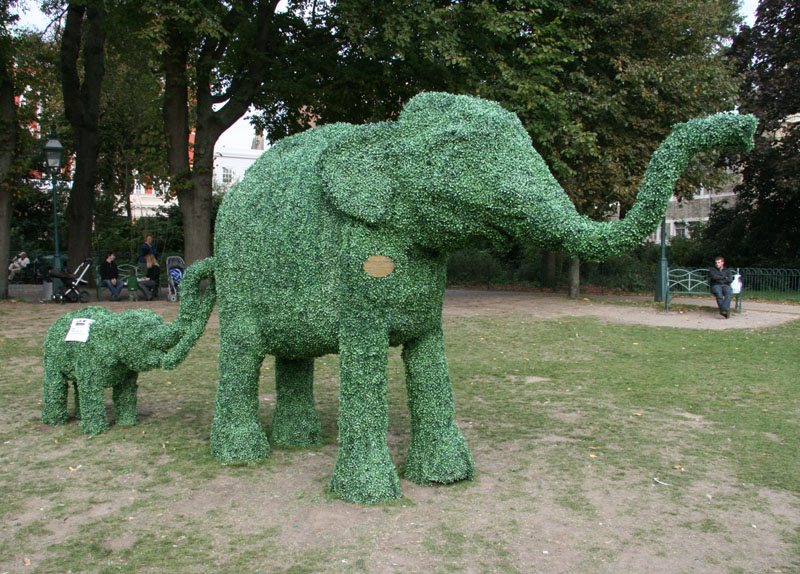 Elephants
