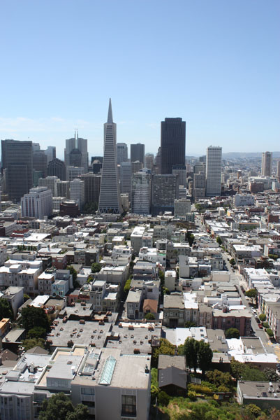 Transamerica Pyramid from Coit Tower
