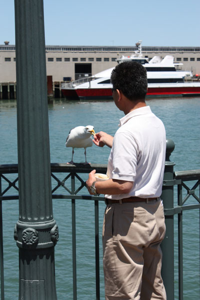 Pier 7