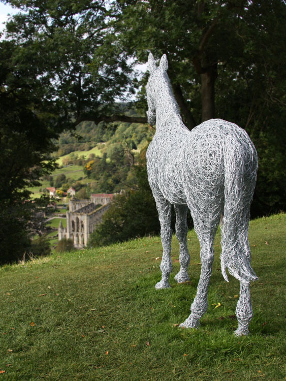 Emma Stothards Horse, Rievaulx Terrace