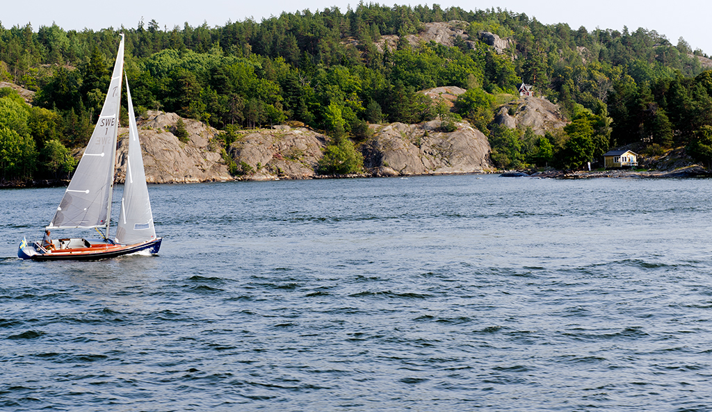 _DSC9108.jpg