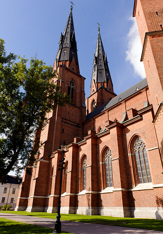 _DSC9216.jpg