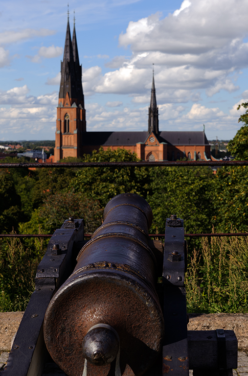 _DSC9351.jpg