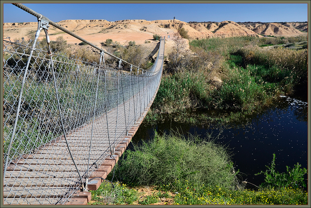 The rope bridge over Nachal Bsor