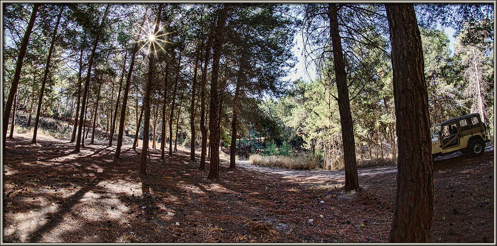 Penetrating light - panorama