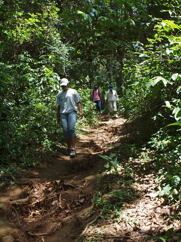 The narrow trail