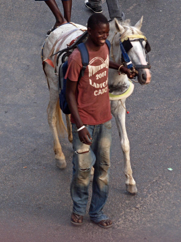 A man and his horse