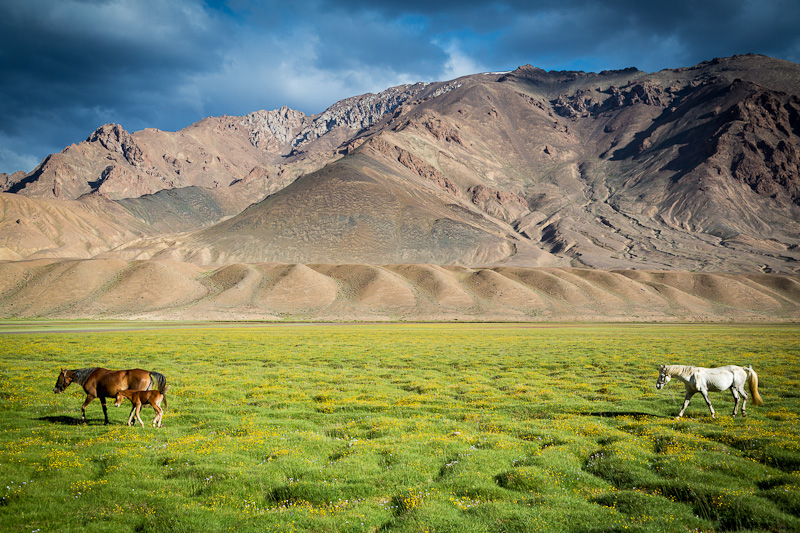 Follow the leader  Tajikistan