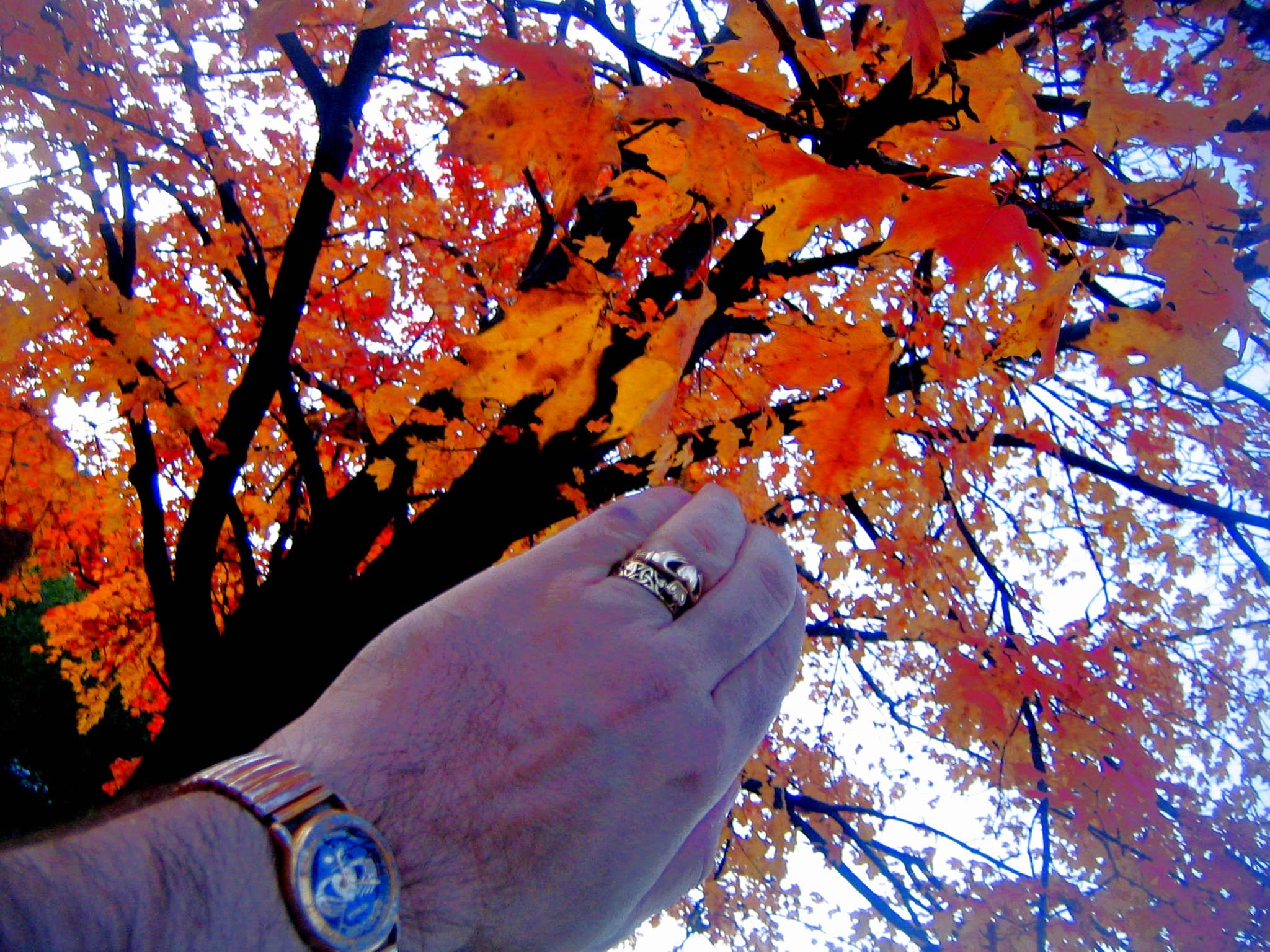 youll NEVER walk alone~~~my october promise!!! :):):) 