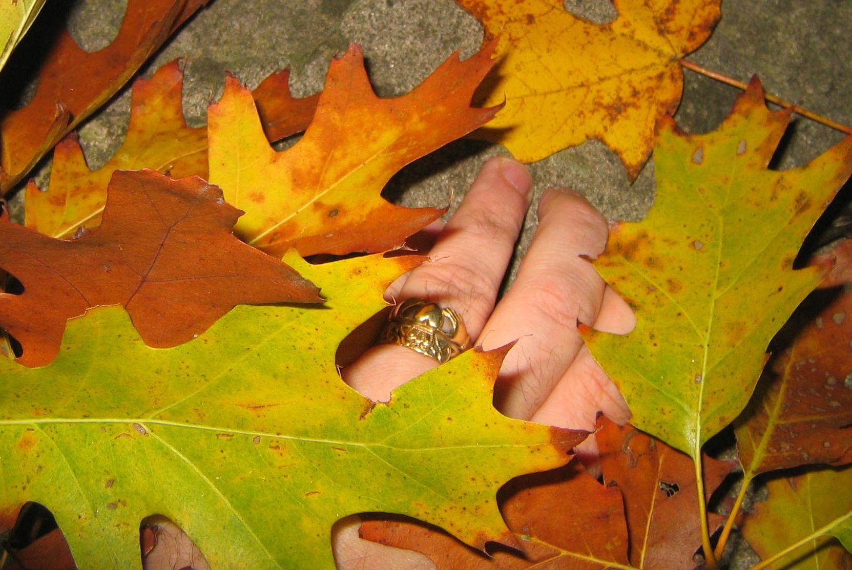 Leafy Claddagh :):):)