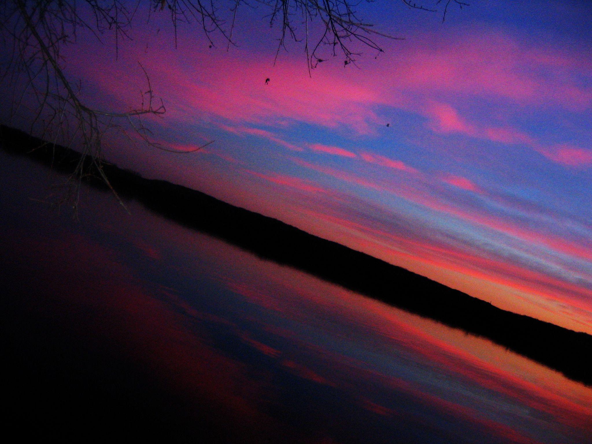 cotton candy sky invites YOU to drown in magical hummingbird energy...