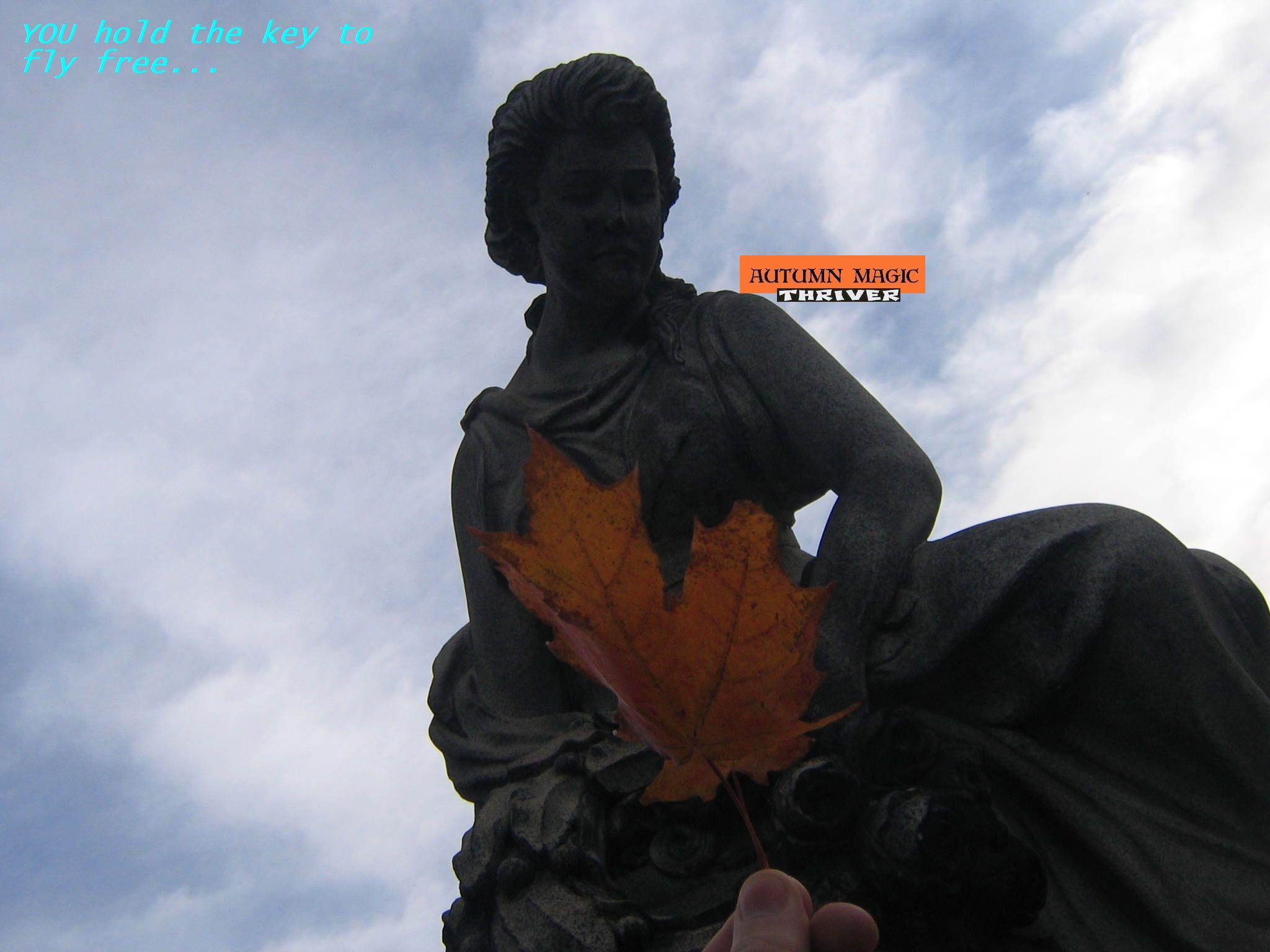 leafy lyrical pal melts the most frozen hearts of sadness...
