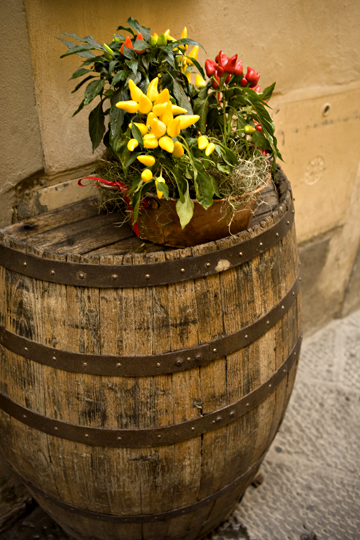 Barrel and Flowers 0931.jpg