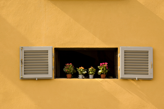 Yellow Wall with Flowers 0841.jpg