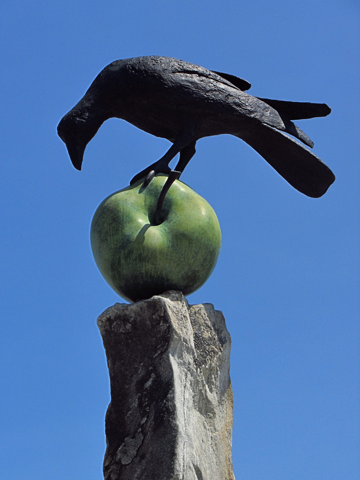 Crow on Apple<BR>June 4, 2011