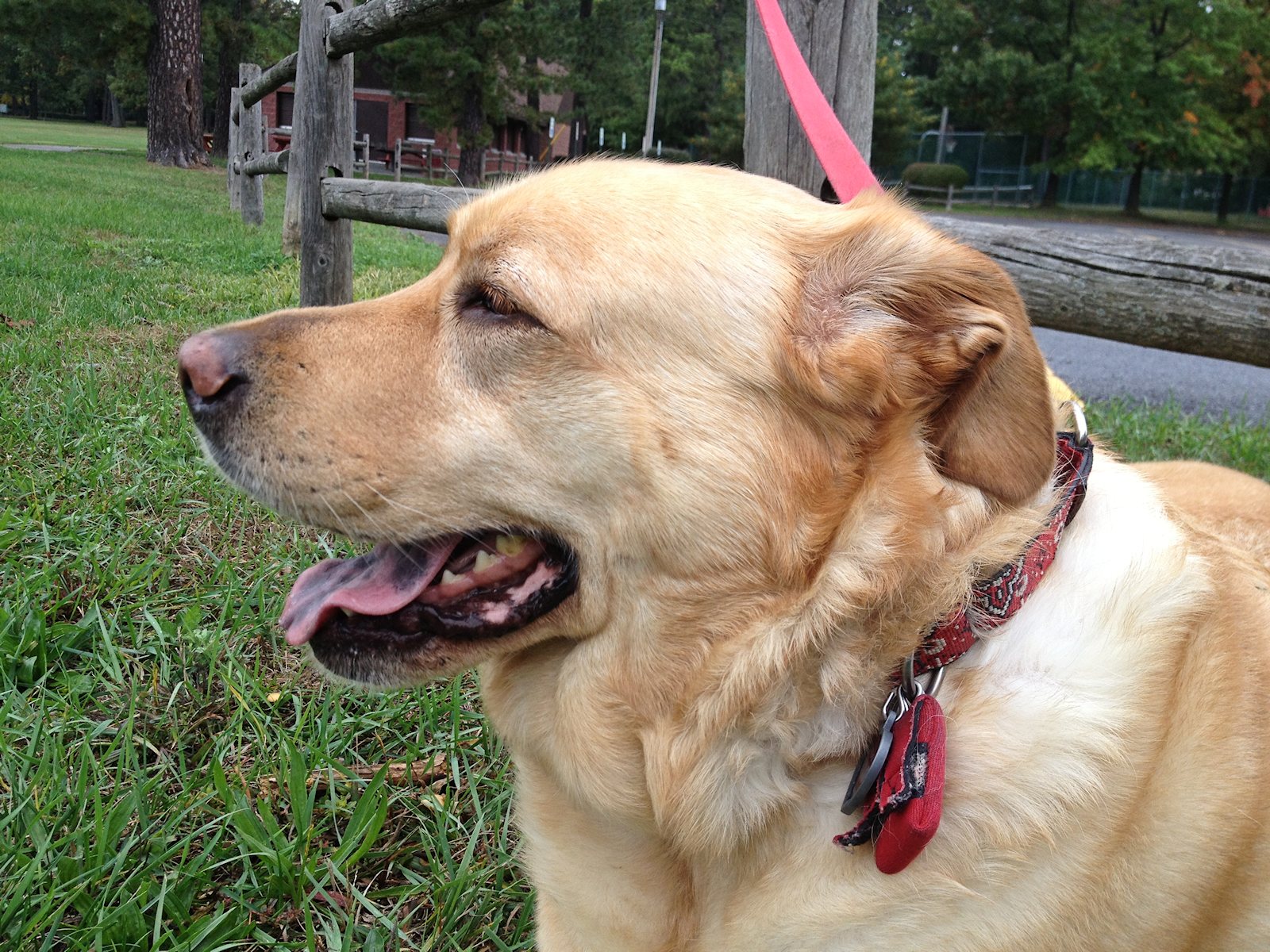 Glinda at the Park<BR>October 2, 2012