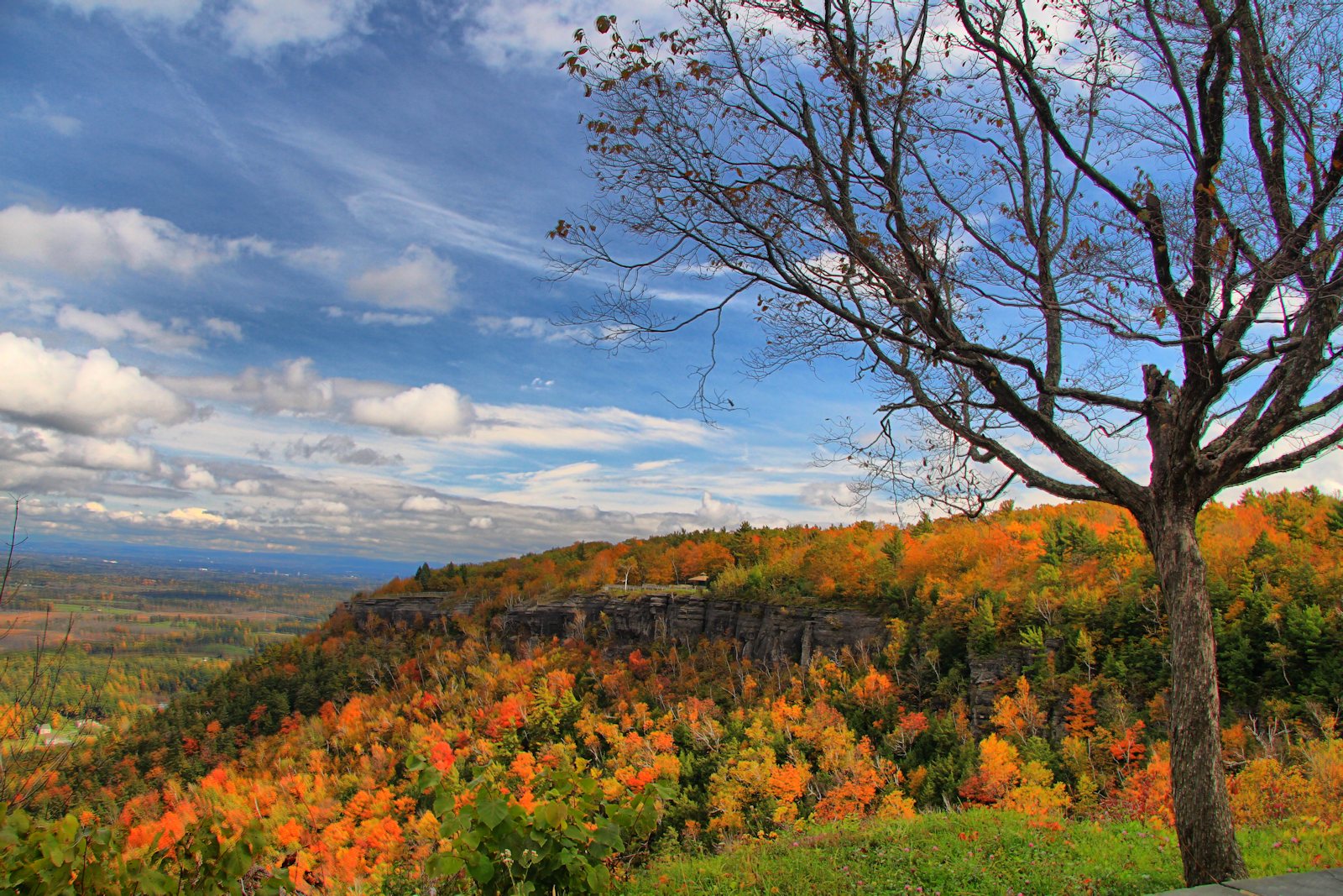 Autumn Colors in HDR<BR>October 8, 2012