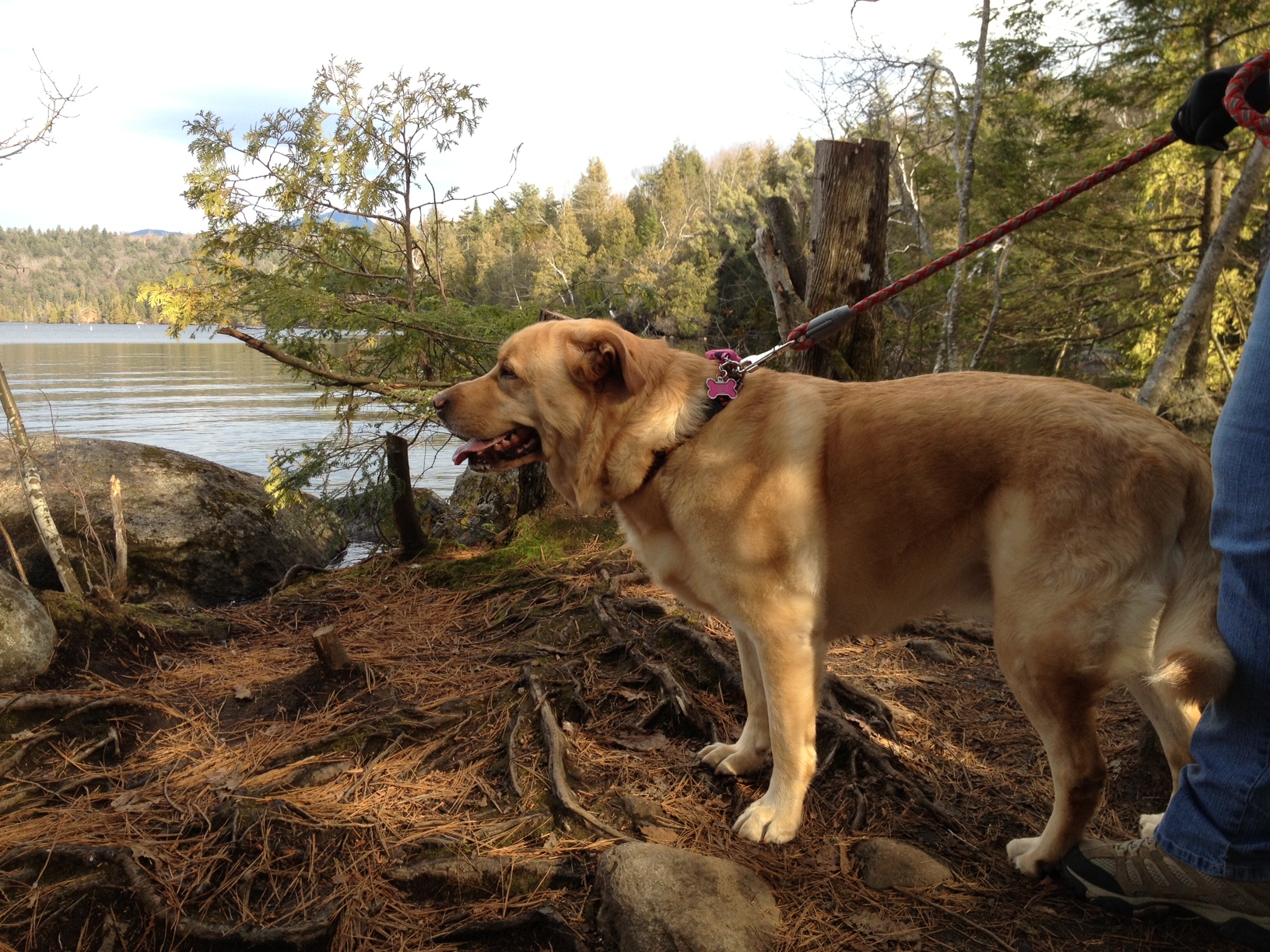 Glinda at Lake Placid<BR>November 23, 2012