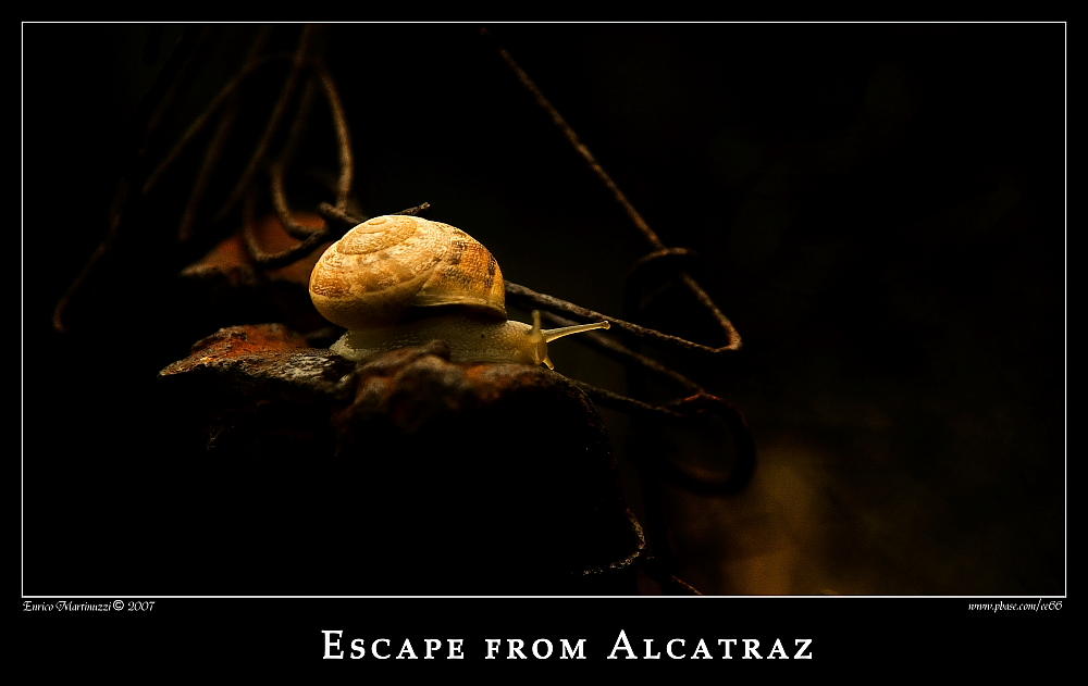 Escape from Alcatraz