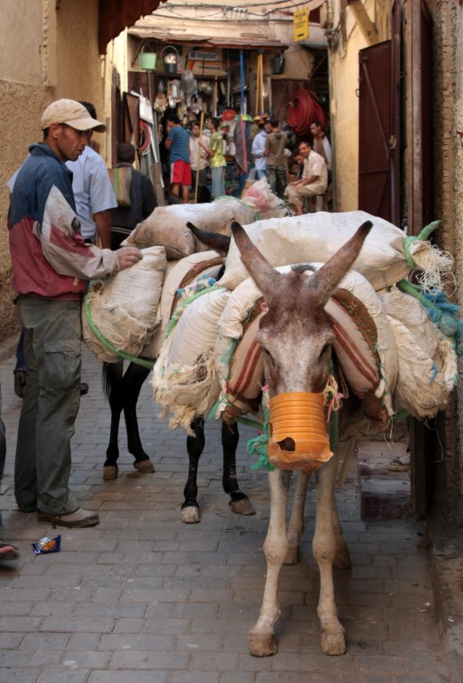 Fes Medina