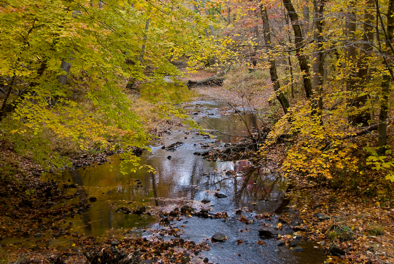 Prince William Forest National Park, VA