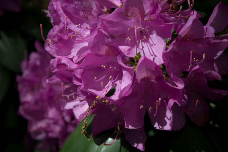 2012_05_12_0317-800.jpg