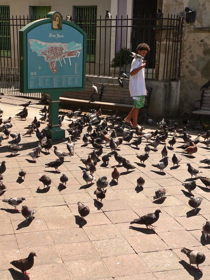 Parque de las Palomas