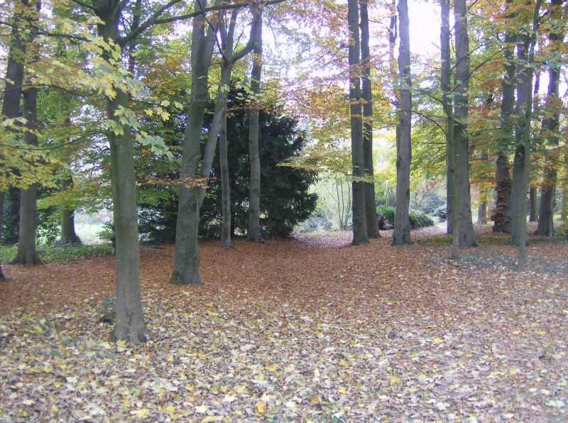 HPIM0863.JPG