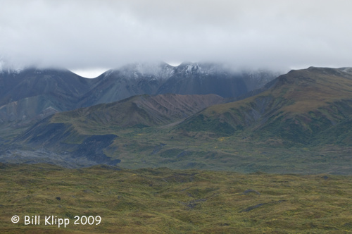 Denali  National Park Scenic 1