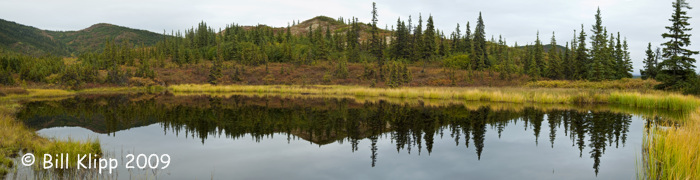 Denali  National Park Scenic  4