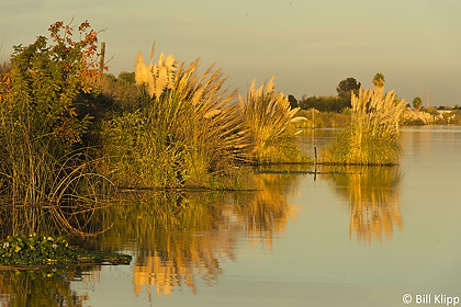 Indian Slough  2