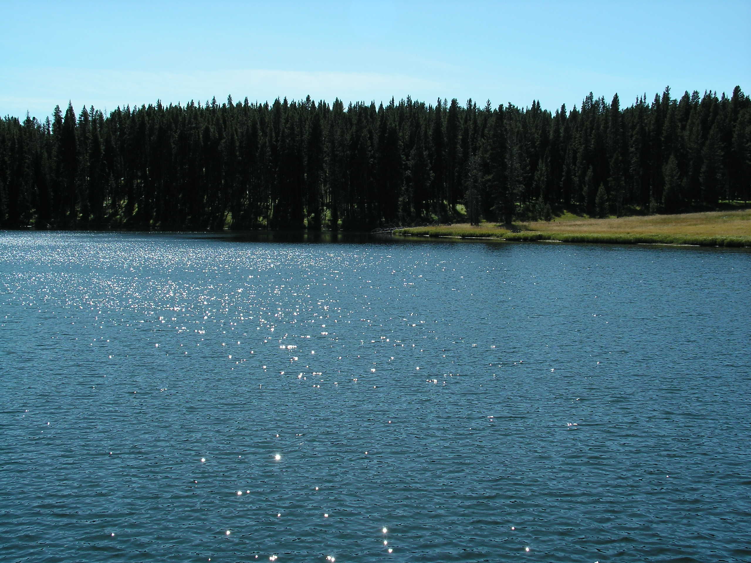 the lake
