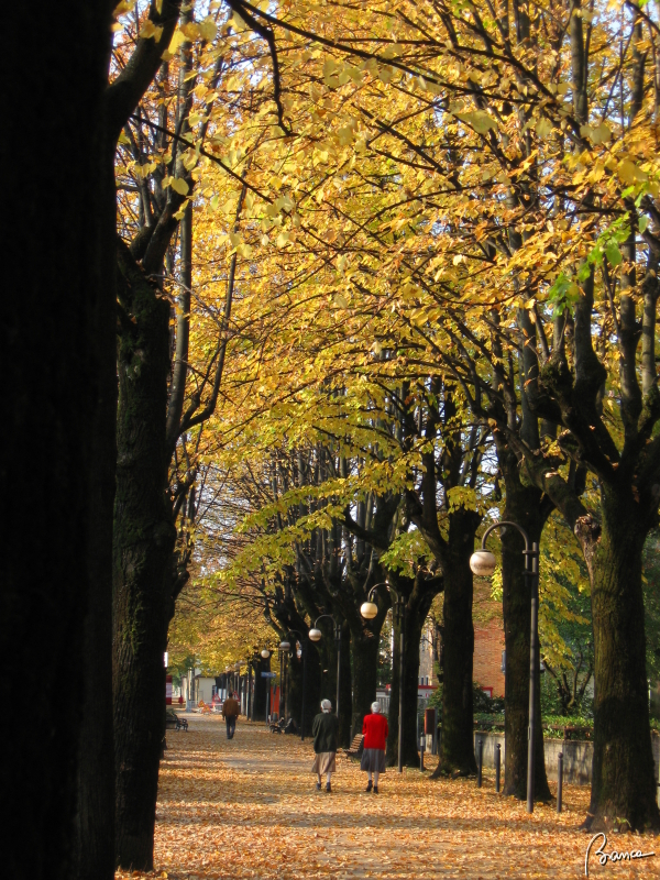 Autumn in Conegliano