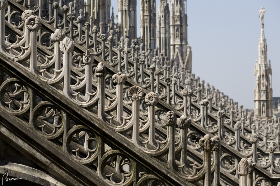 Il Duomo