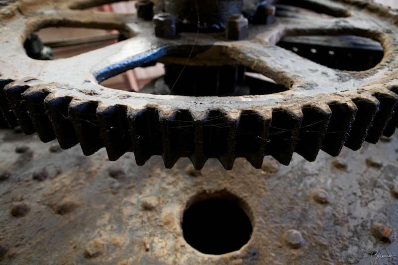 Roots of Motive Power