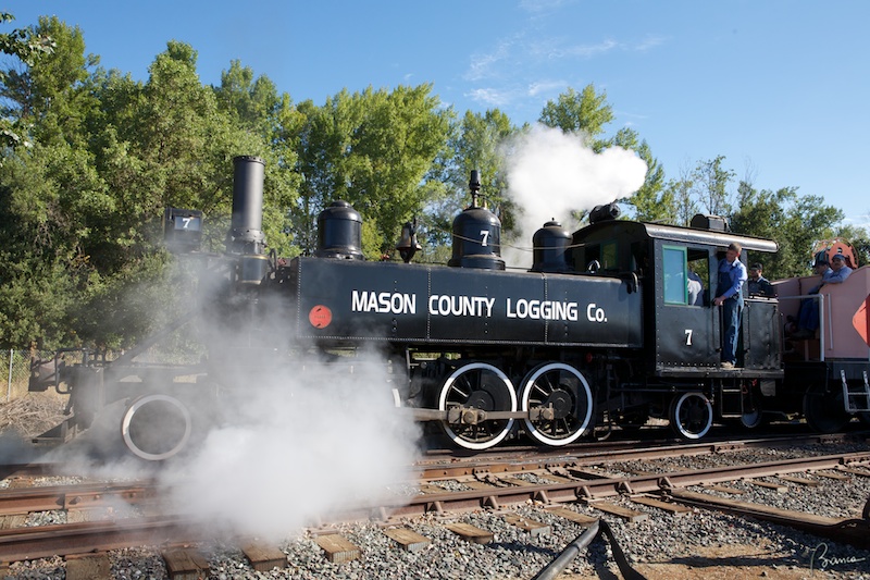 Roots of Motive Power