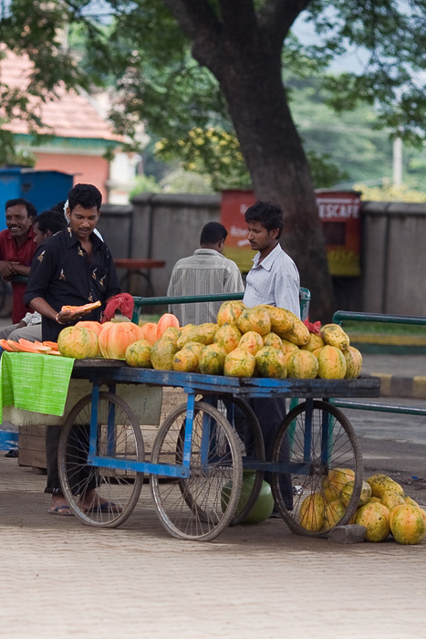 Fruit Vendor