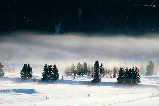 3rd Place - WinterFog - by db.