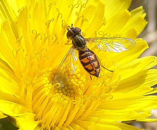 MACRO - Exhibition